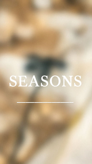 ריחות של עונה, רגעים של חוויה – כל מארז לוקח אתכם למסע בזמן ובזיכרון