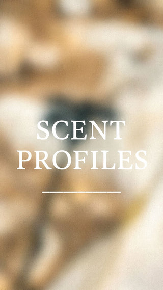 גלו את משפחת הריח האהובה עליכם – המארז שמזמין אתכם לחוויה עמוקה ומרגשת