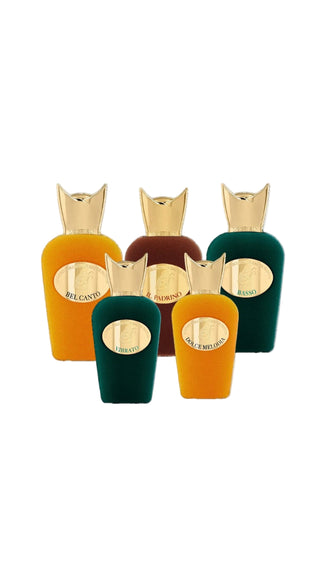 מארז היכרות - סוספירו