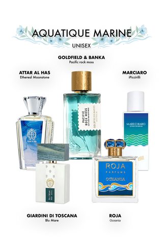 משפחת ניחוחות ארומטיים “Aromatic Force” סט יוניסקס | חדות טבעית. איזון מושלם