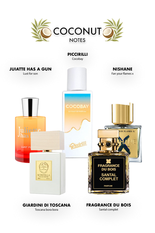 “Velvet Coconut” (קוקוס) – מארז דיסקברי יוניסקס | “חופשה קסומה בכל נשימה, שמלטפת את הגוף והנפש”