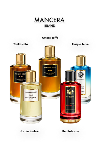 מארז היכרות - מנסרה