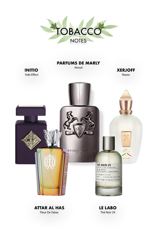 “Dark” (דארק) – מארז דיסקברי יוניסקס | “מסתורין עמוק שמושך תשומת לב ומעורר קסם פנימי”