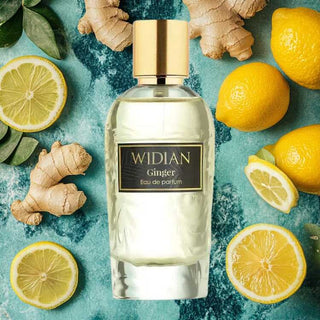 ווידיאן ג׳ינג׳ר יוניסקס