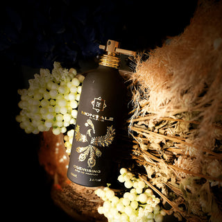 מונטל אוד ריזינג יוניסקס