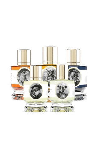 מארז היכרות - זולוגיסט